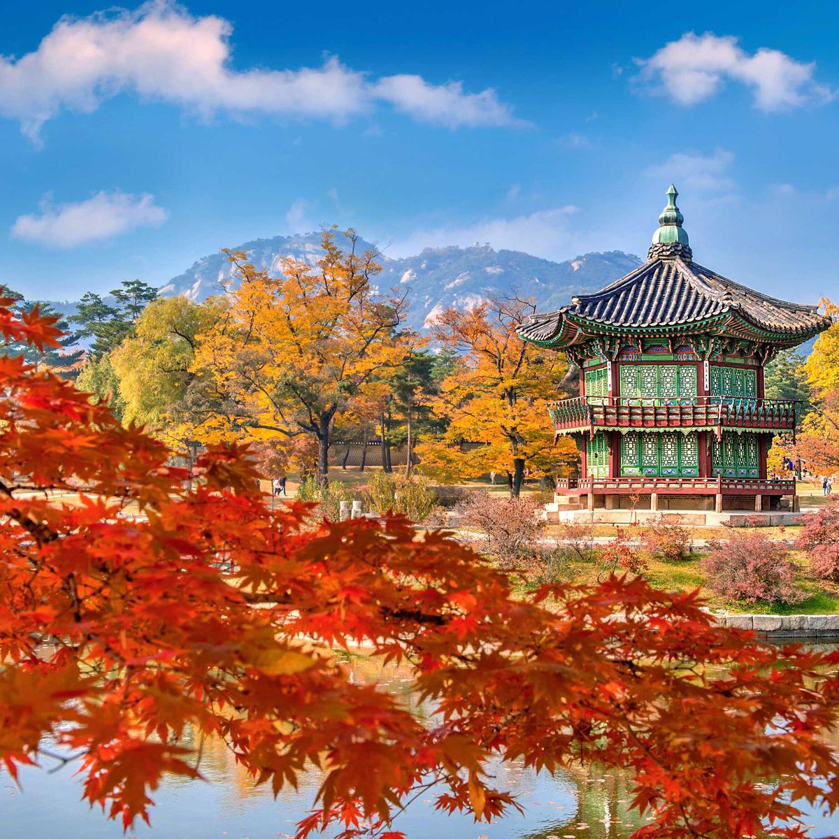 Autumn Korea