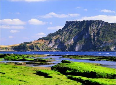 Summer Korea