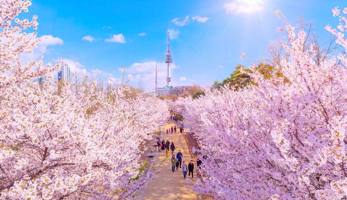 Spring Korea