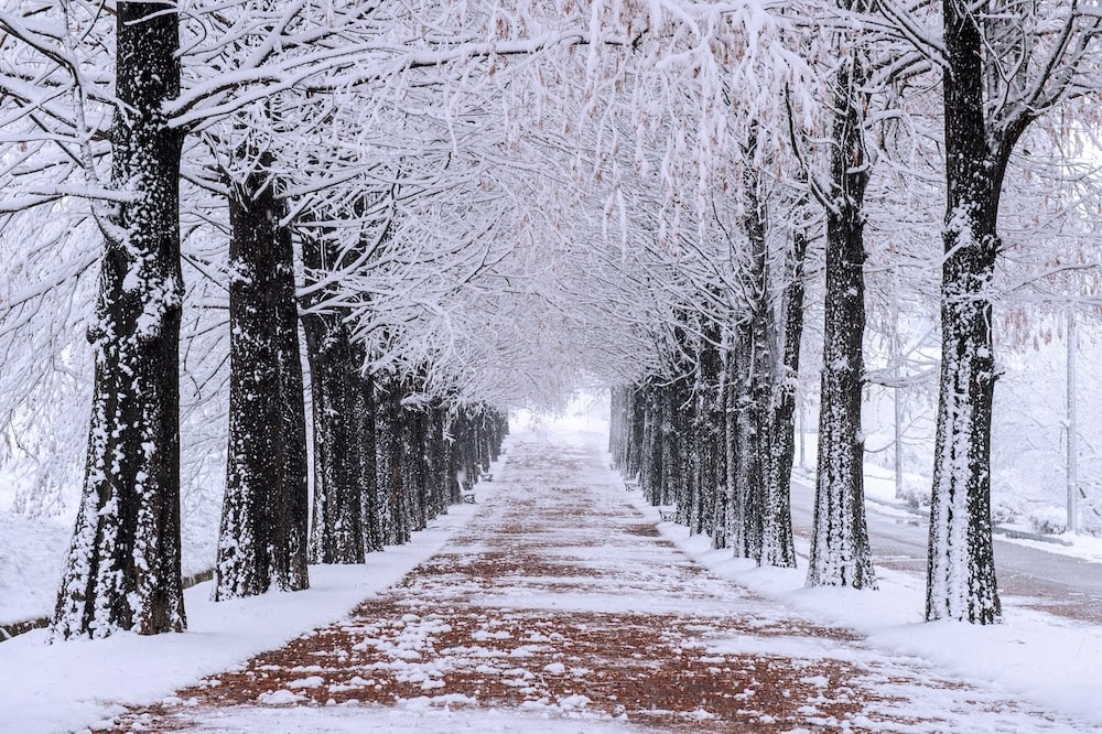 Winter Korea