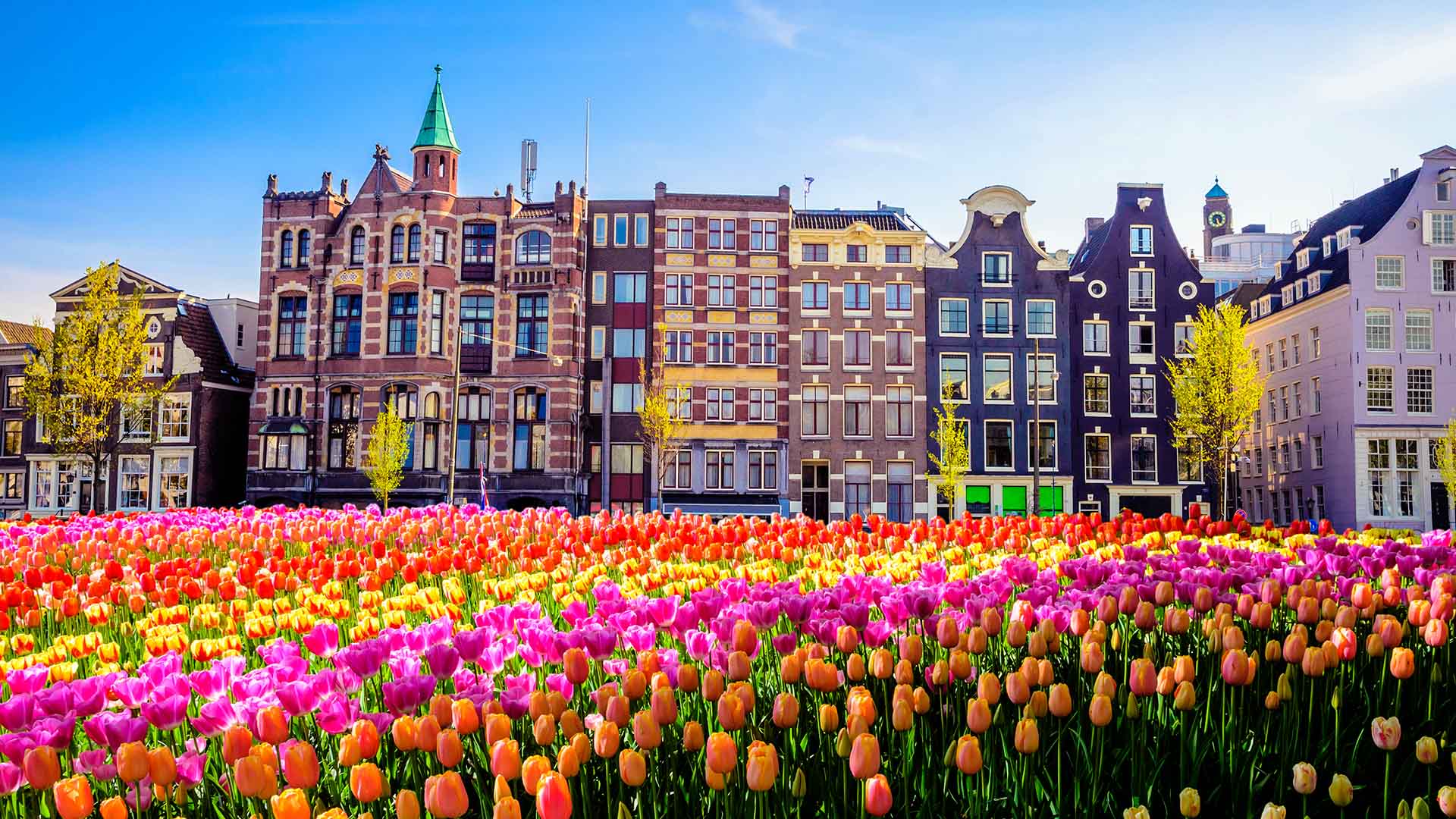 Amsterdam City Tour